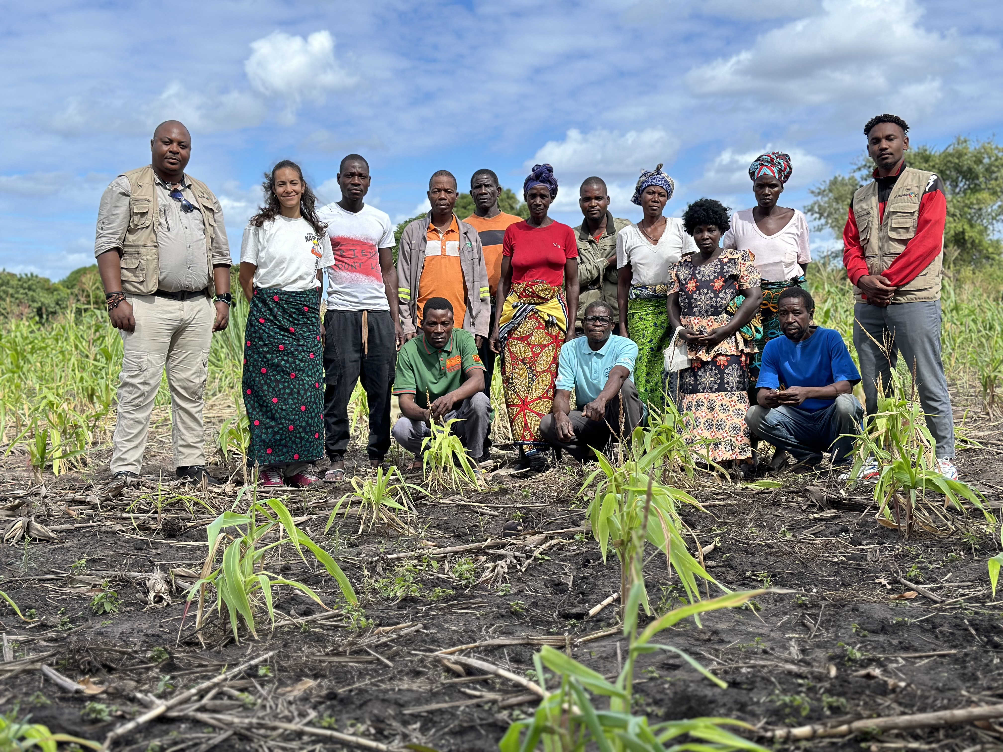 Land Use Intensity's Potential, Vulnerability and Resilience for Sustainable Agriculture in Africa (LUISA) - Cover